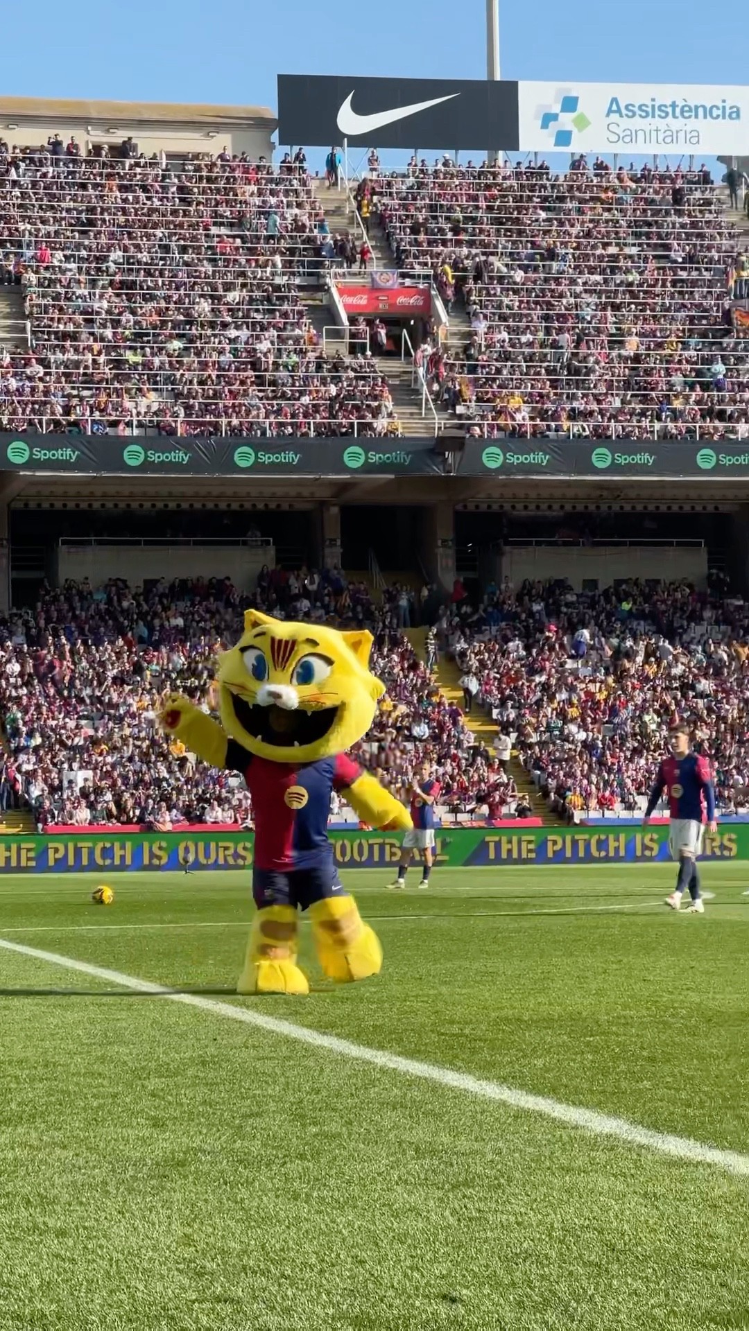 First game for Cat ? #fcbarcelona #shorts #Cat